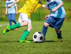 日赛恩斯调,研活动,南方基金,皇冠体育平台,皇冠体育官方网站,皇冠体育登录入口,皇冠体育app下载