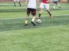 哈尔滨亚冬,会各代表团,陆续到来,皇冠体育平台,皇冠体育官方网站,皇冠体育登录入口,皇冠体育app下载