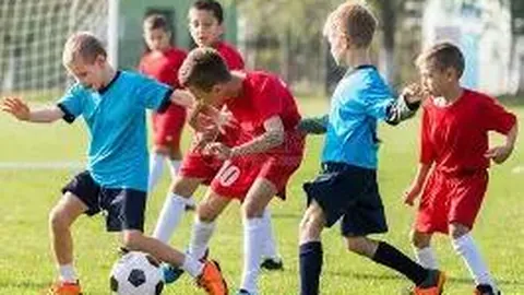 皇冠体育 产品 135142 plt